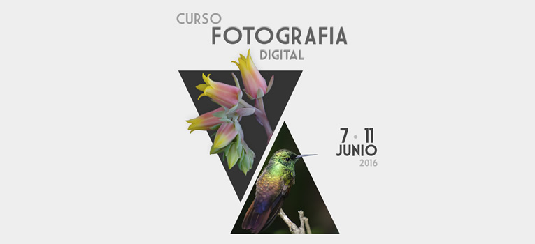 curso-fotografia-digital-museo-duges-universidad-guanajuato-ug-ugto