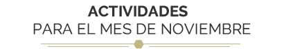 actividades noviembre