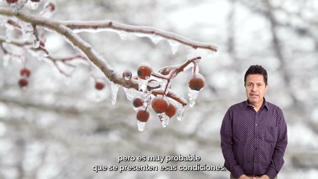 Colab UG Pronstico del clima 6 de noviembre 2023