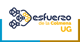 titulo esfuerzo colmena