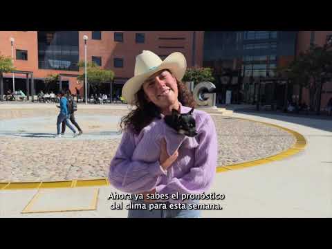 Clima 10 al 16 de noviembre HQ 