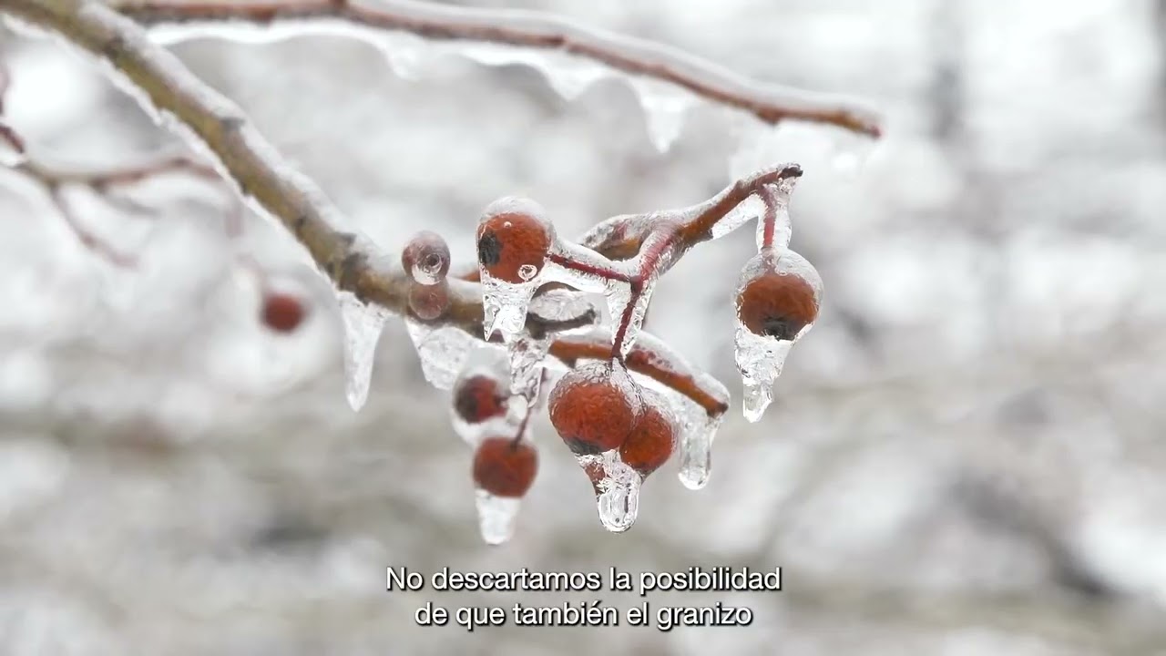 Colab UG Pronstico del tiempo 28 de mayo