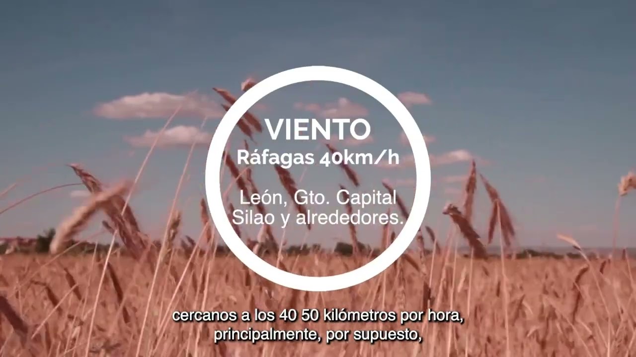 Clima cambiante mejor infrmate abeja BQ 