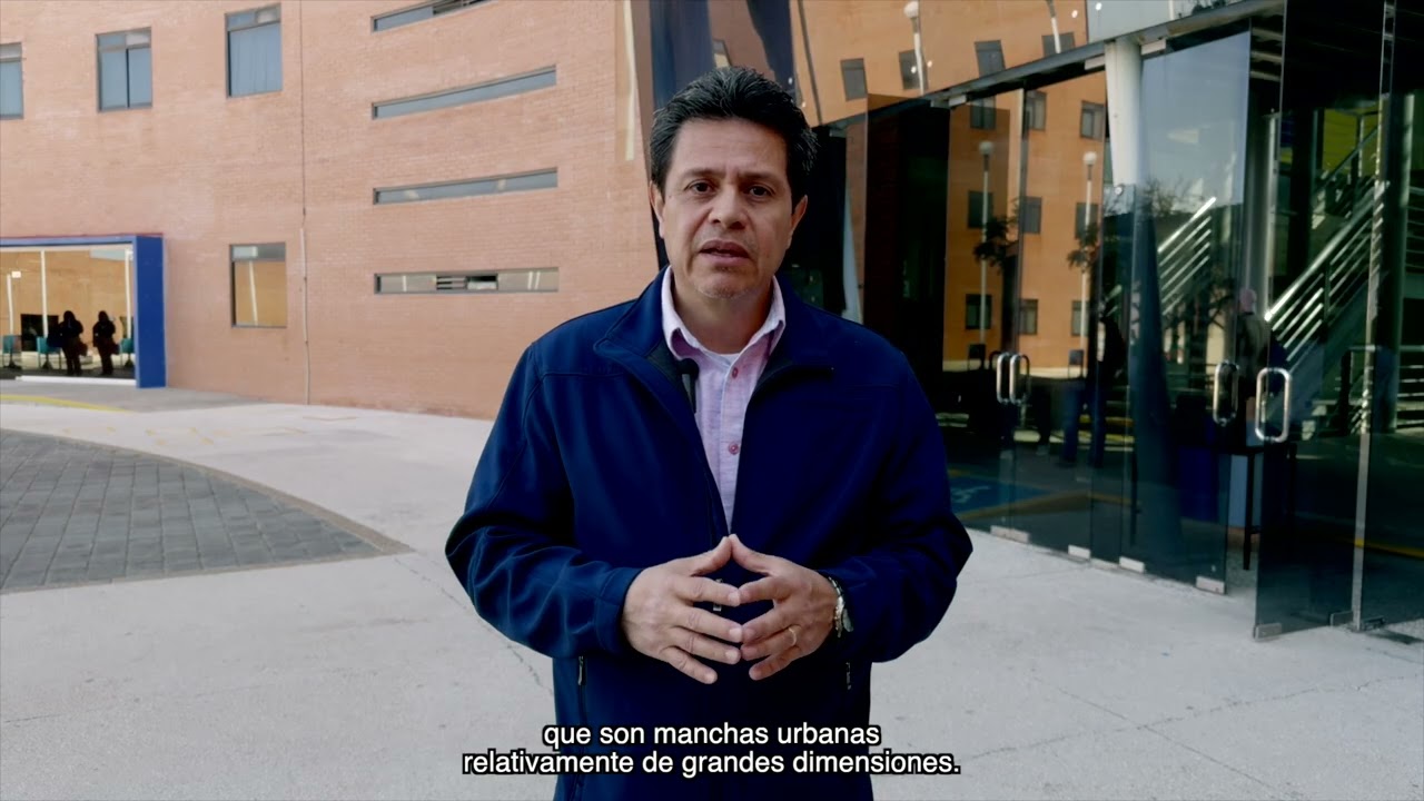 Colab UG Pronstico del tiempo 17 de febrero 2026 BQ 