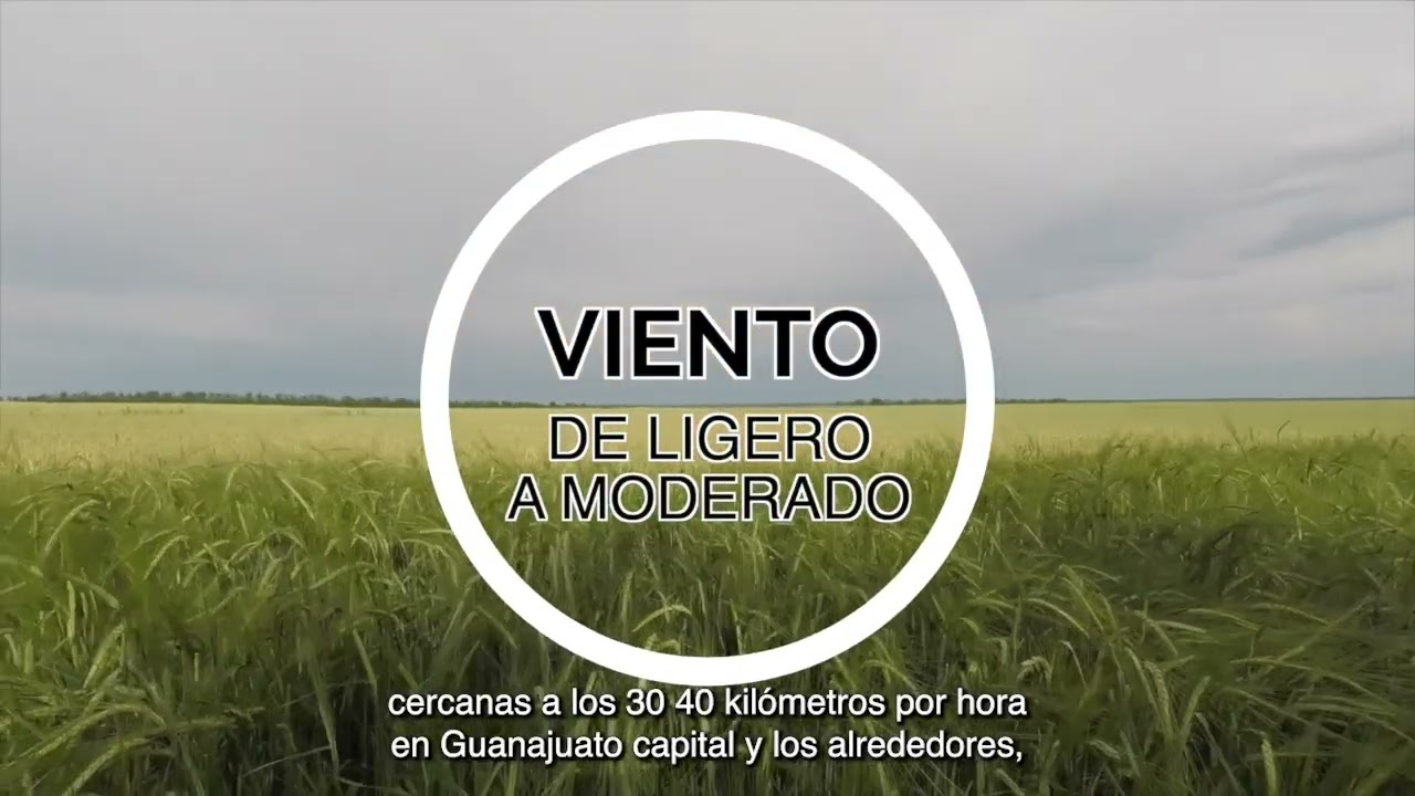 Colab UG Pronstico del tiempo del 18 al 24 de agosto 2025 BQ 