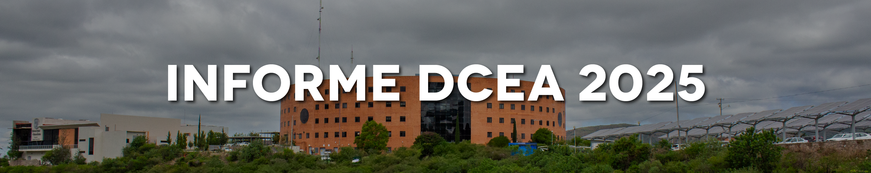 Banner Informe Anual DCEA 2025