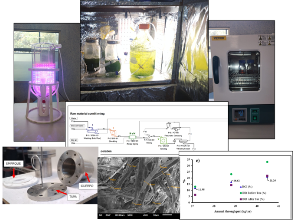 fotobioreactorcarlosmolina