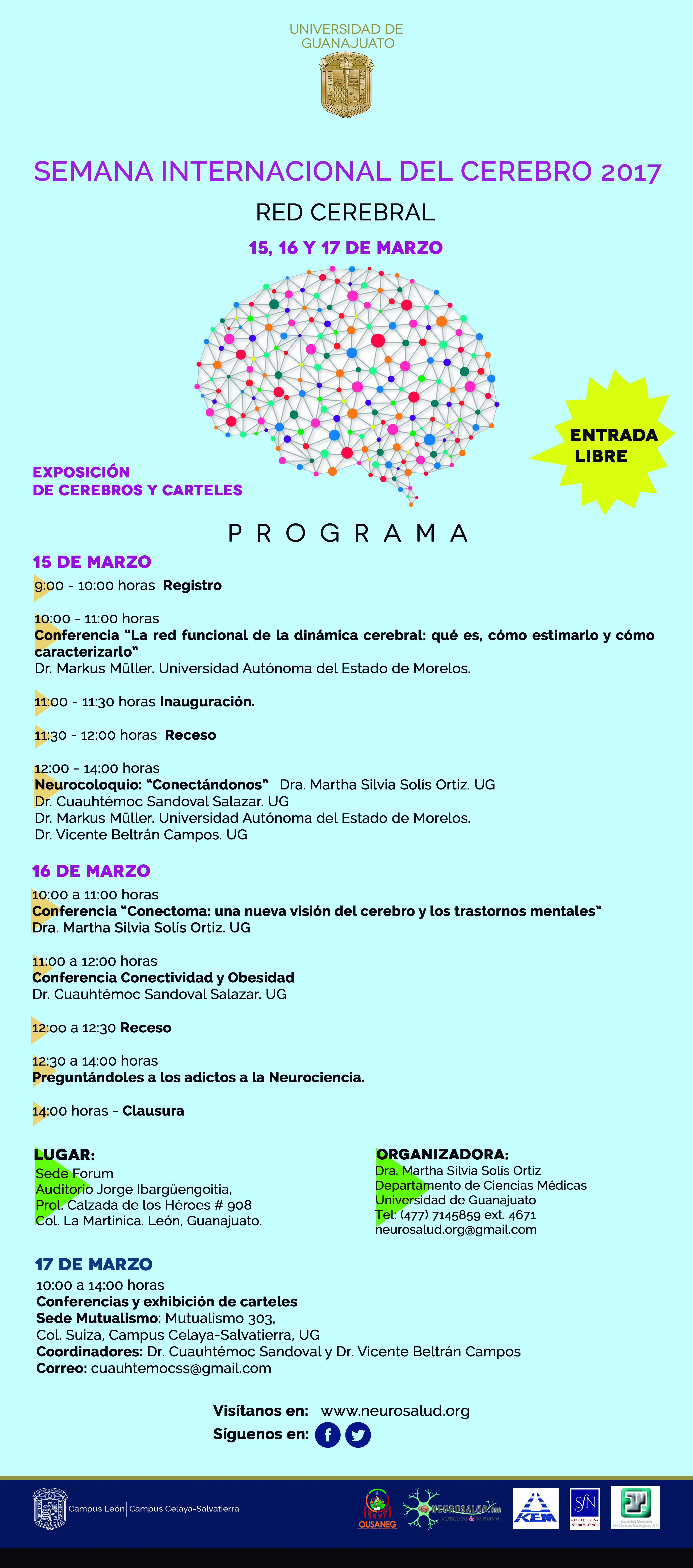 Info web.semana cerebro