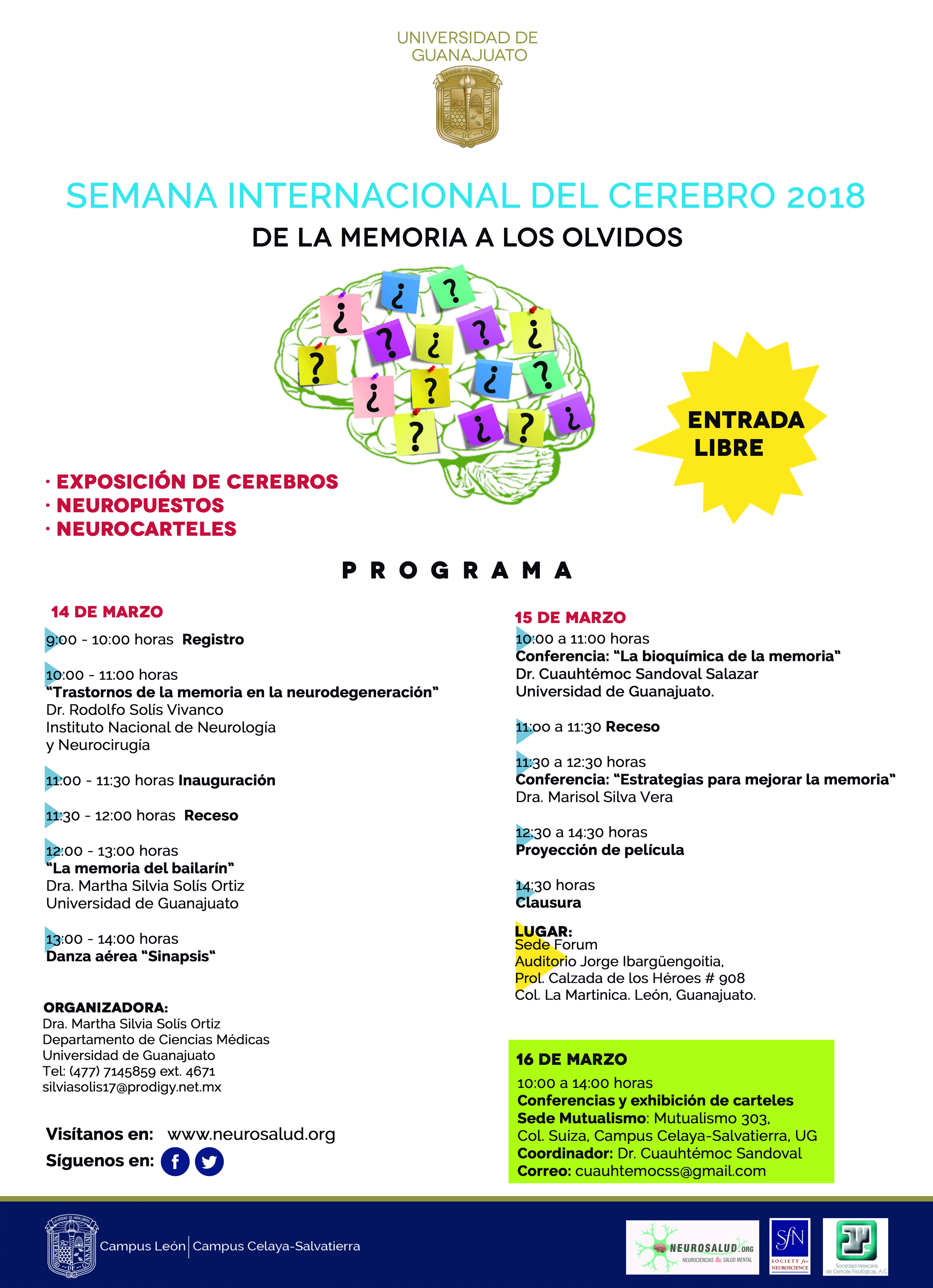 Info web cerebro