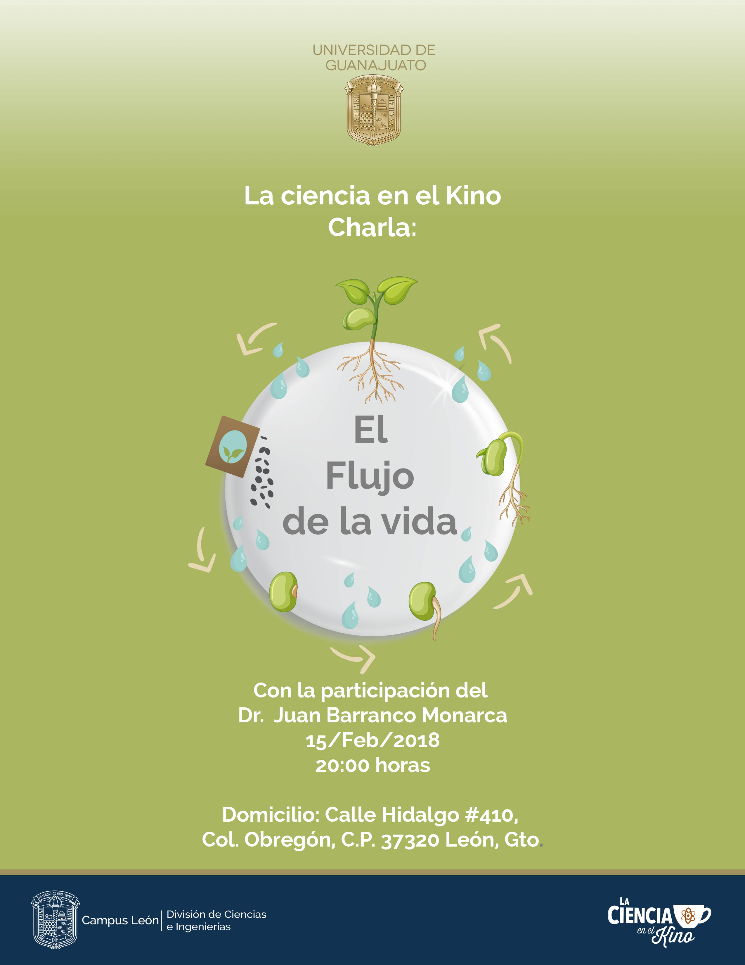 Info web kino