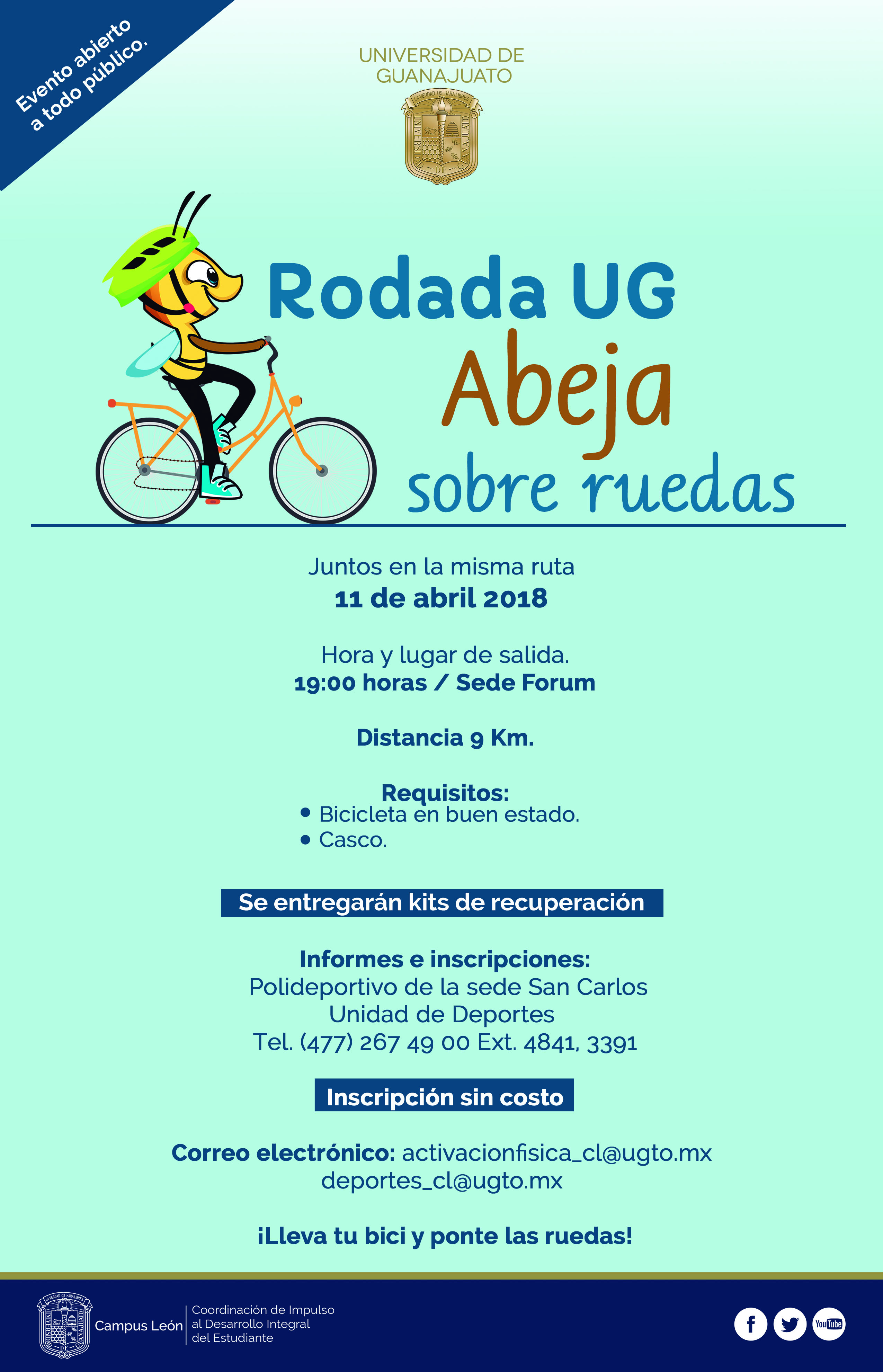 Info web rodada