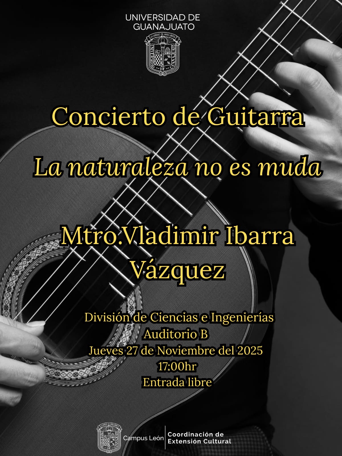 concierto guitarra