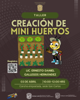 Semana ambiental - Taller creación de mini huertos