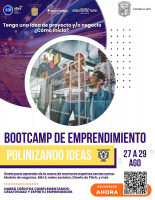 Bootcamp de emprendimiento