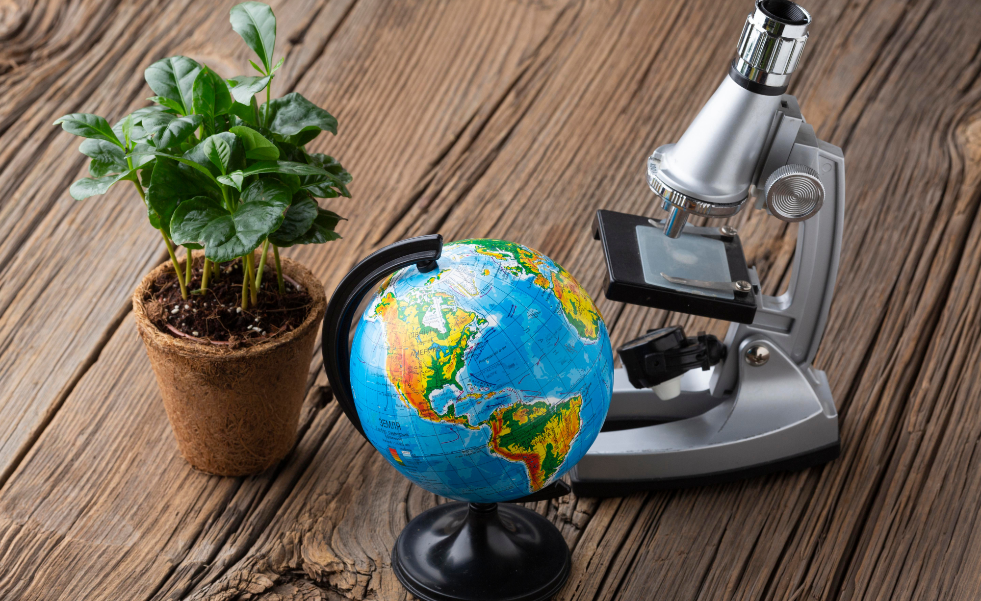 01 Qué puedo estudiar si me interesa la geografía