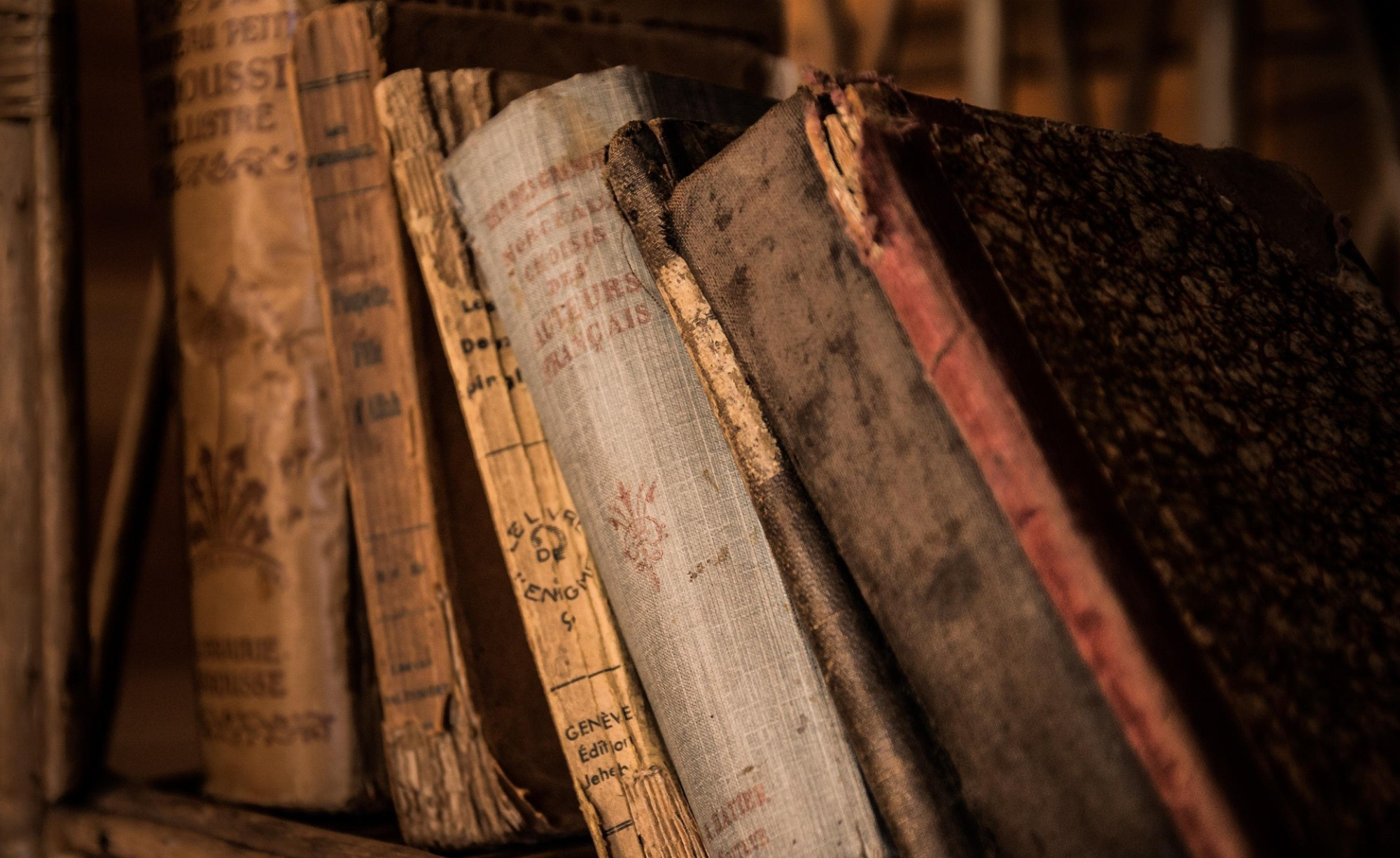 03 Qué puedo estudiar si me interesa la geografía