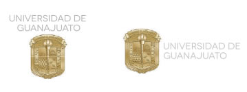 no alterar color de tipografia