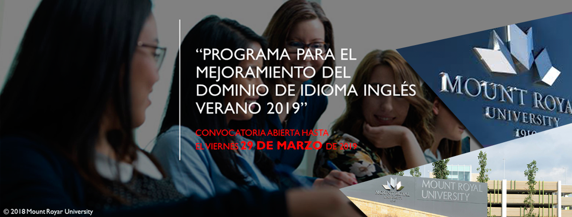 Verano de Idioma Web