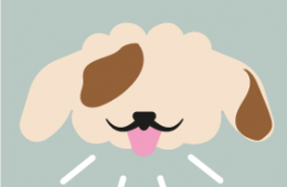 Teletrabajo: calidad de vida y mascotas