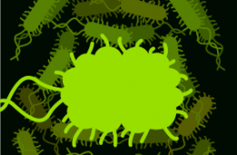 Las bacterias también tienen sentidos