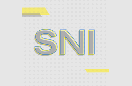 El Sistema Nacional de Investigadores (SNI) en números: análisis por áreas del conocimiento