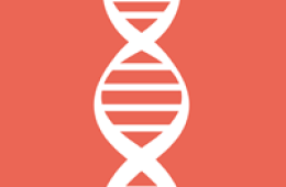 ¿Qué es la epigenética y para qué sirve estudiarla?