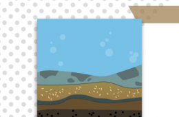 Descifrando la caja negra de los lagos