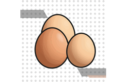 Huevo fértil o huevo para plato