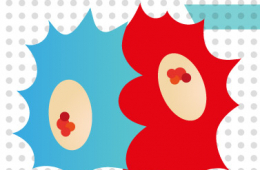 La Matrix Extracelular: Estructura de Nuestra Vida y Estudio de la Salud