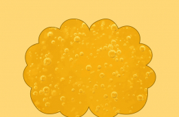 Secretos del ámbar de Chiapas