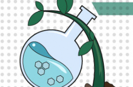 La primera década en formación de bio-ingenieros en Biotecnología en la Universidad