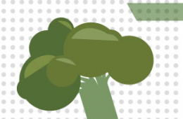 Del campo a la sustentabilidad del brócoli