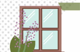 Renueva tu hogar, renueva tu vida: la Naturaleza como fuente de felicidad para nuestros adultos mayores