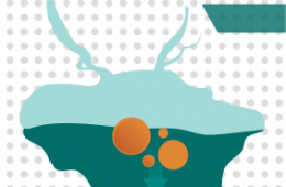 ¿Qué será? Lago, laguna o presa