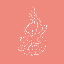13 comprendiendo la propagacioon del fuego