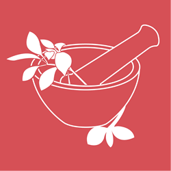 25 plantas medicinales de mexico usadas empiiricamente
