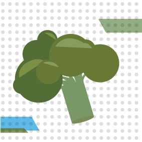 Del campo a la sustentabilidad del brocoli