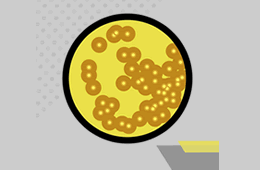 bacterocinas