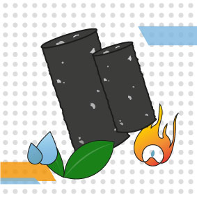 biocarbon sustentable