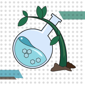 biocarbon sustentable