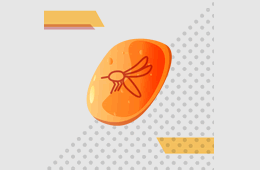 capsula tiempo