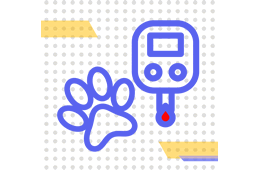 diabetes perro