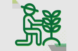 jardinero
