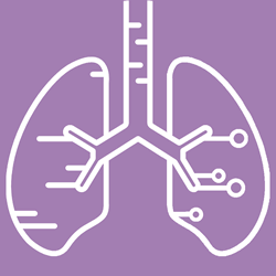 la ingenieria biomedica y la salud humana