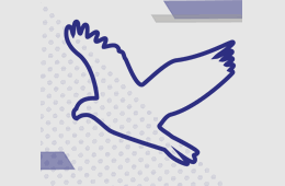 libertad de las aves