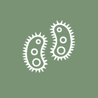 supervirus contra superbacterias