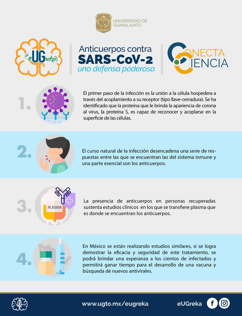 inforgrafia