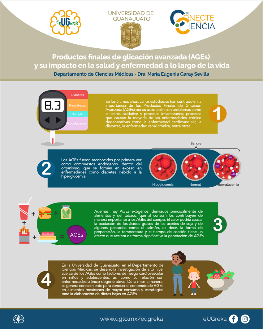 infografia