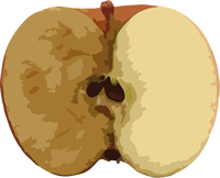 r4