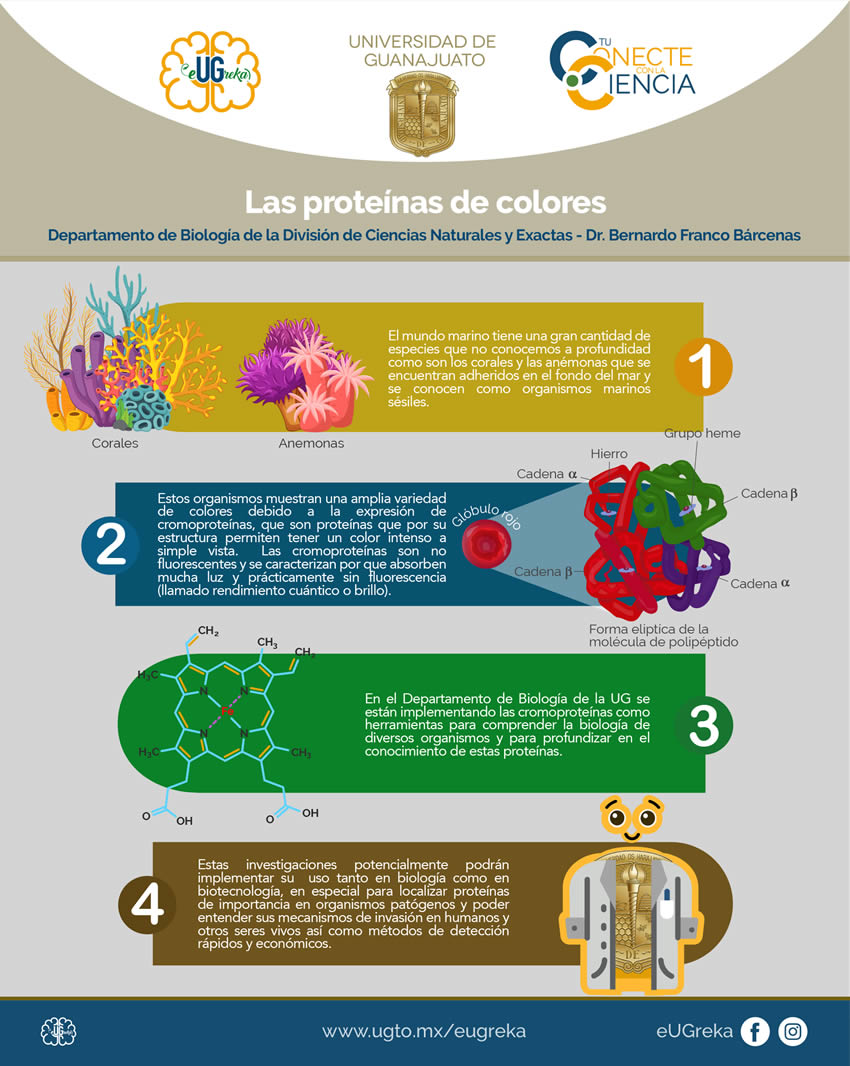 infografia